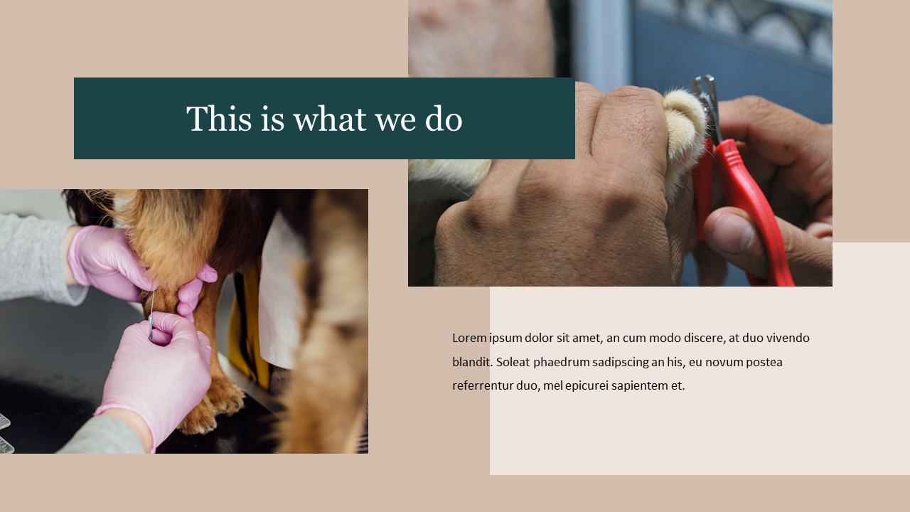 Veterinary Clinic ppt samples|Lifestyle|Templates