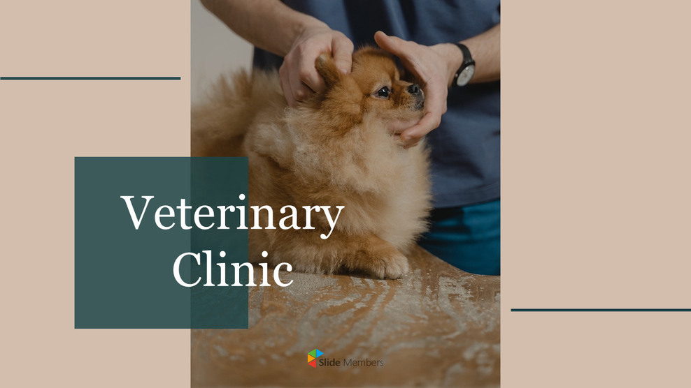 Veterinär Klinik Google Slides-Vorlagen für Ihre nächste Präsentation_01