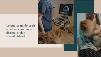 Veterinär Klinik Google Slides-Vorlagen für Ihre nächste Präsentation_07