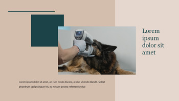 Veterinär Klinik Google Slides-Vorlagen für Ihre nächste Präsentation_09