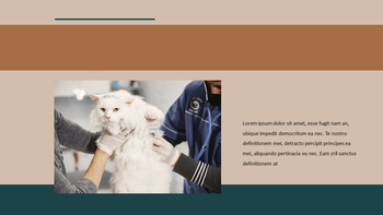 Veterinary Clinic Google Slides Templates for Your Next Presentation_10