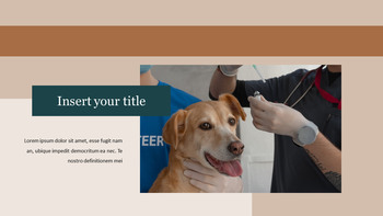 Veterinary Clinic Google Slides Templates for Your Next Presentation_21