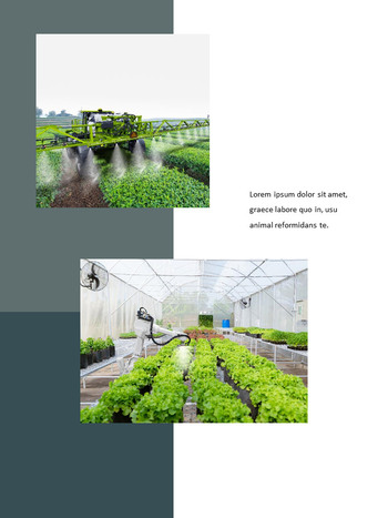 Agricoltura intelligente Easy PowerPoint Design_14