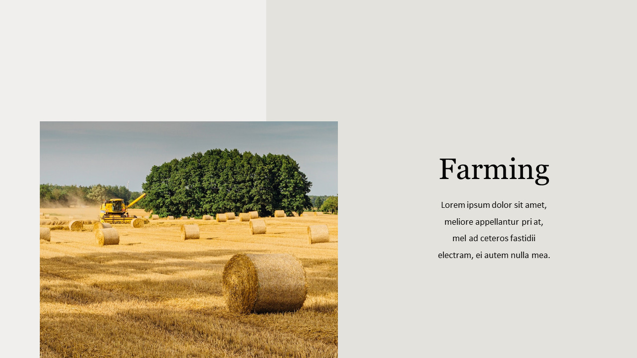 Raccolto agricolo Modelli di tema PPT_03