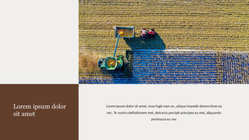 Raccolto agricolo Google PPT Modelli_15