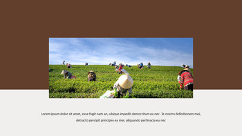 Landwirtschaftliche Ernte Google PPT-Vorlagen_16