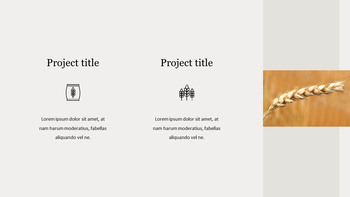 농업 수확 Google 피피티 템플릿_18