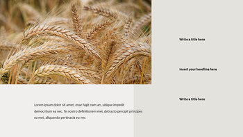 Agriculture Récolte Modèles Google PPT_22