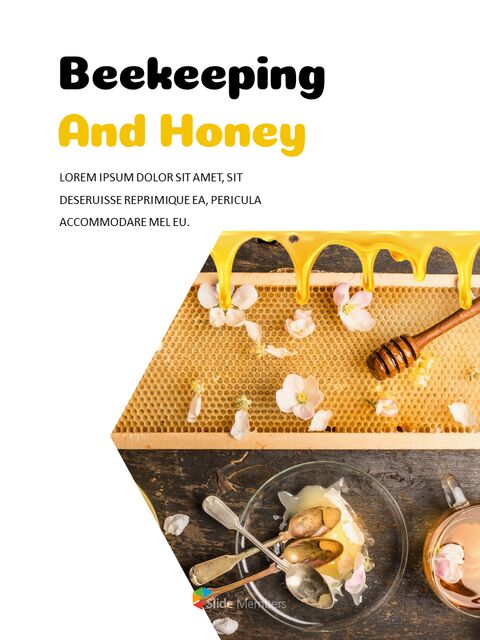 Apiculture et Miel Meilleur design de présentation
