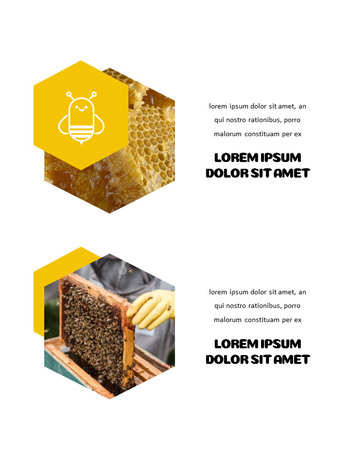 Apiculture et Miel Meilleur design de présentation_21