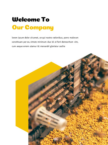 Beekeeping and Honey Best Presentation Design_23