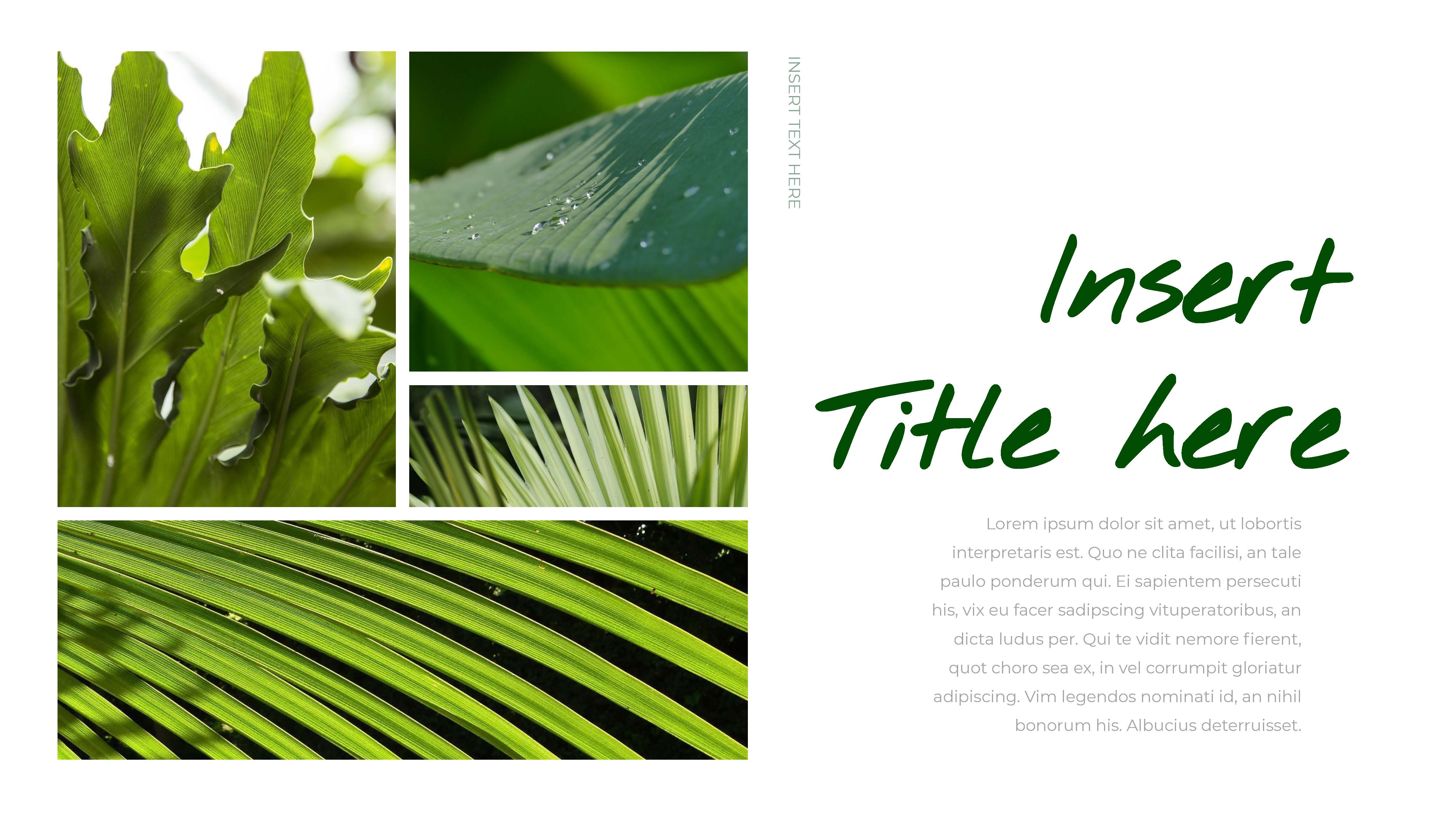 Botanical Google Slides Themes for Presentations
