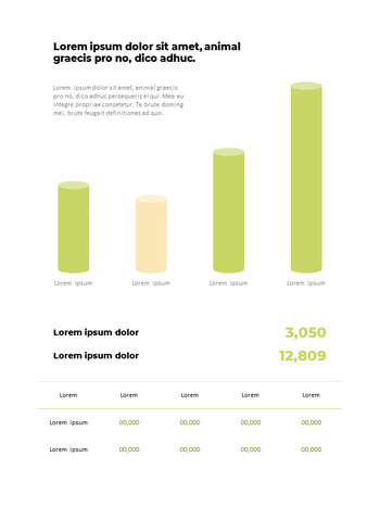 Modern Company Profile Business Presentation Templates_13