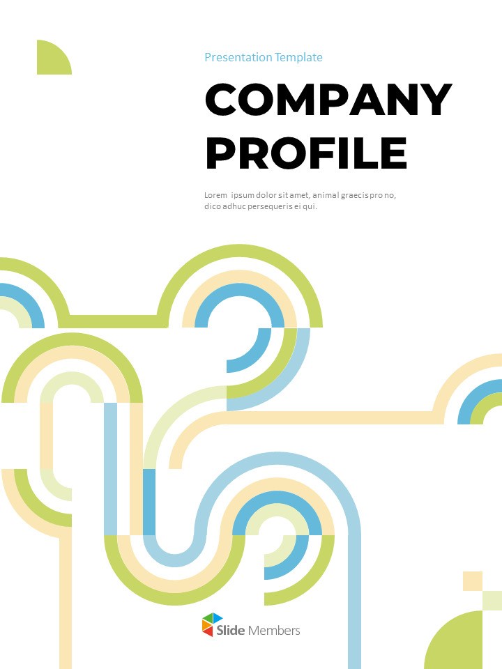 Modern Company Profile team presentation template