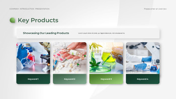 Pharmaceutical Company slide template_13