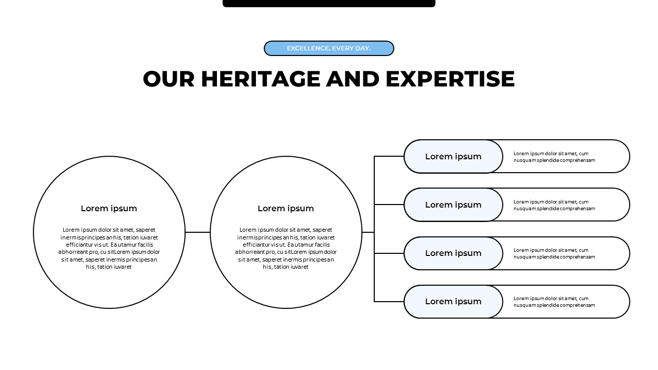 Company Introduction professional presentation
