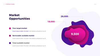 2026年项目 专业展示_05