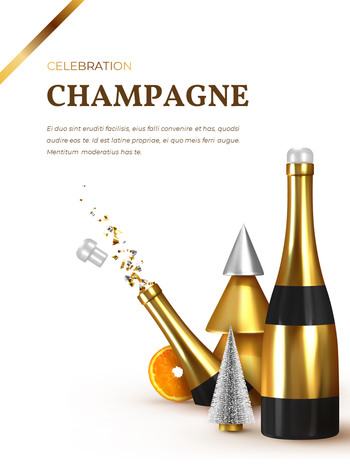 新年主题设计套餐 演示幻灯片设计_12