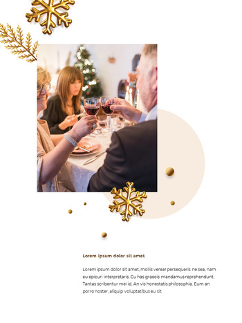 新年主题设计套餐 演示幻灯片设计_14