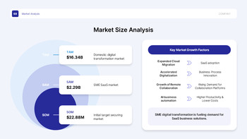 Government-Supported Project Plan PPT for H2 Startup Funding pitch deck template_11