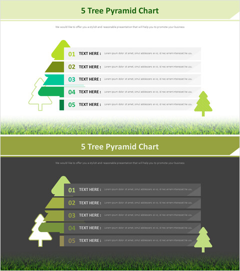 5树金字塔图图_2 slides