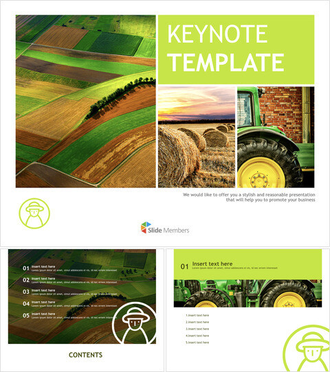 稻田 - 主题演讲免费_6 slides