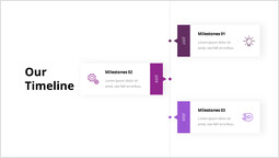 Notre chronologie Pont PPT_4 slides