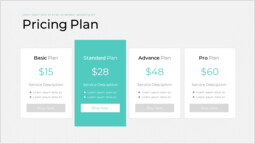 Pricing Plan Single Layout_1 slides
