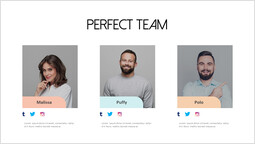 Sns con equipo perfecto Modelo_1 slides