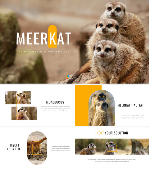 Meerkat google Slides Modelli_35 slides