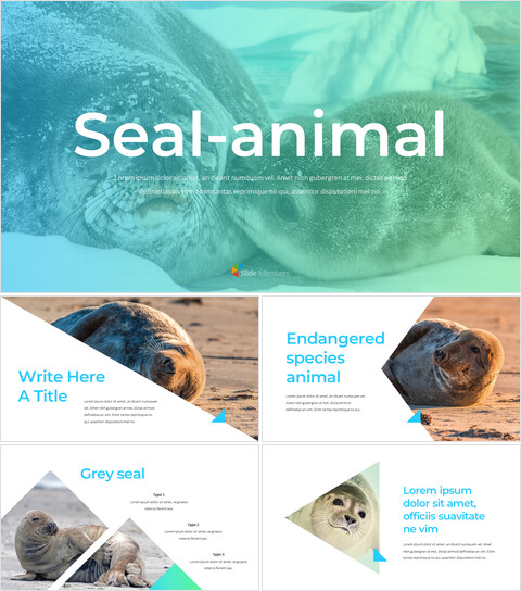 Seal google slides Themes & Templates_40 slides