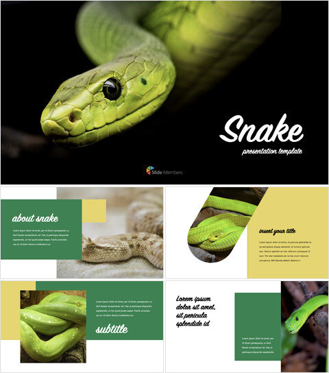 serpente Tema del keynote_36 slides