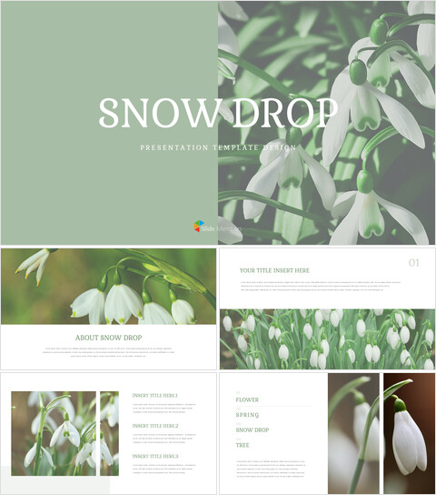 Snow Drop Presentation Google Slides Templates_34 slides