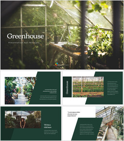 Serra Templates Design_35 slides