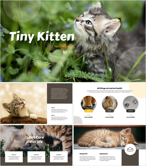 Tiny Kitten Google presentation_35 slides