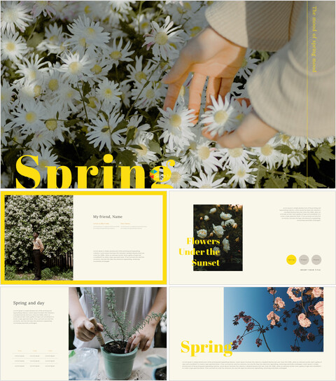 Spring Google Slides Templates for Your Next Presentation_40 slides