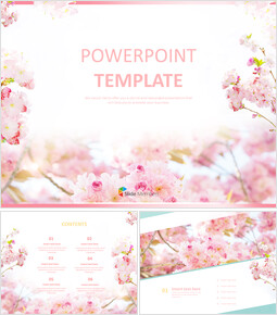 Campione di PowerPoint gratuito - fiori di ciliegio rosa_6 slides