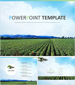 Modello PPT gratuito - Ampia azienda agricola del tè verde_6 slides