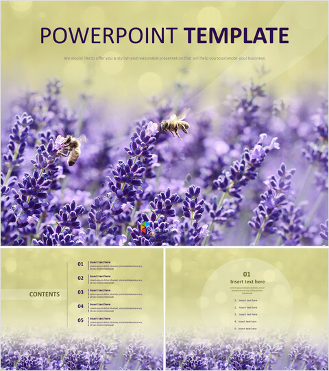 Lavendelduft - Kostenloses Powerpoint Templates Design_6 slides