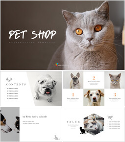 240+ pet shop PPT Templates - Slide Members
