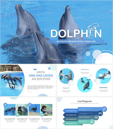 Dolphin keynote Presentation Template_36 slides