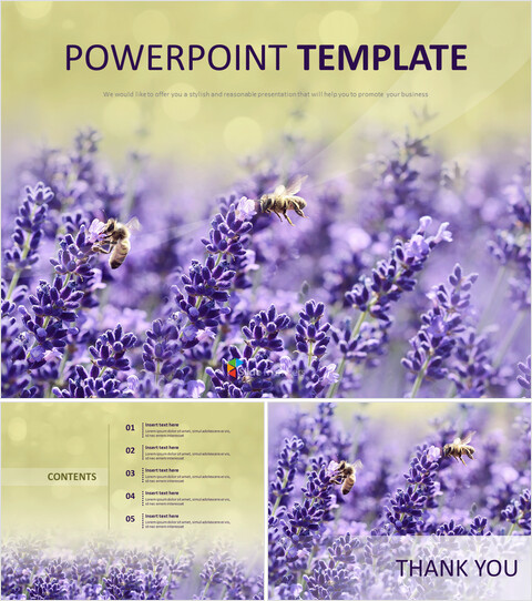 Lavender Scent - Free Google Slides_6 slides