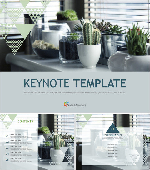 vaso di cactus - Template keynote gratis_6 slides