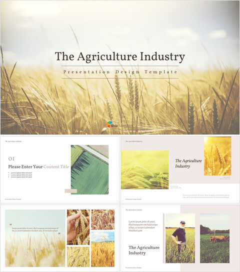 The Agriculture Industry background PowerPoint_40 slides